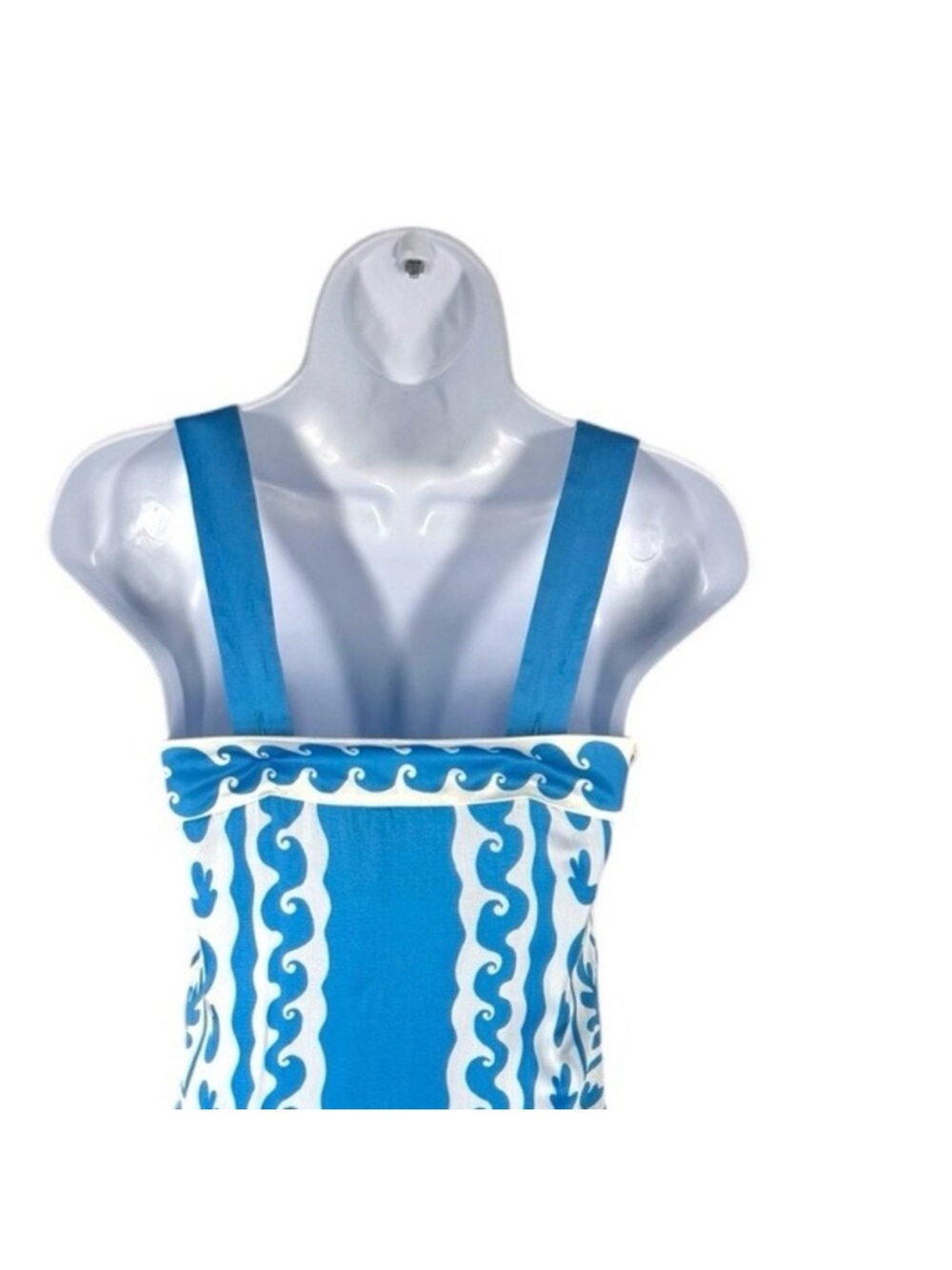 Tuckernuck Blue and White Cross-Neck Maxi Dress - Picture 8 of 10